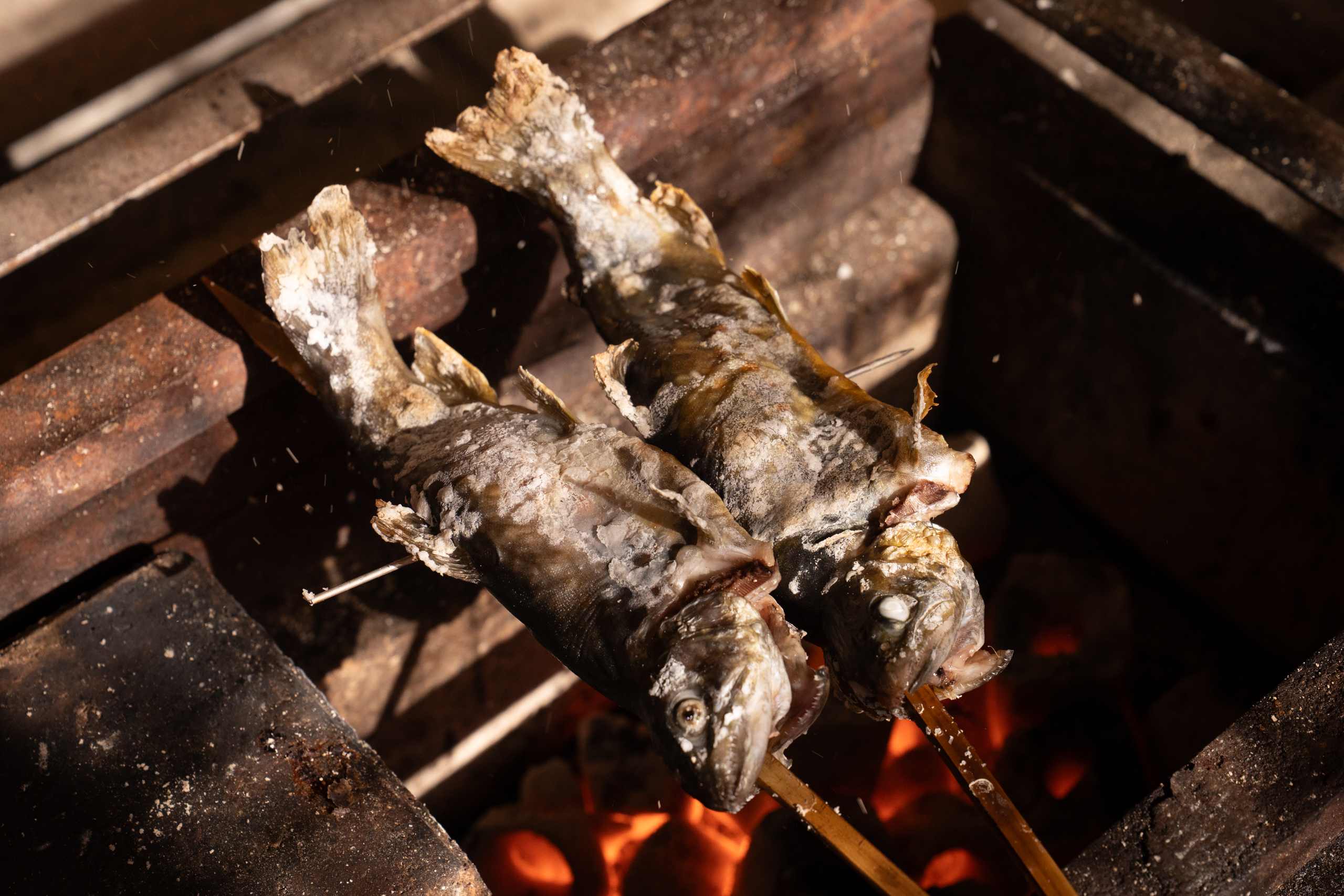 allimege_驫ｭ縺九ｙ繧・data_-3